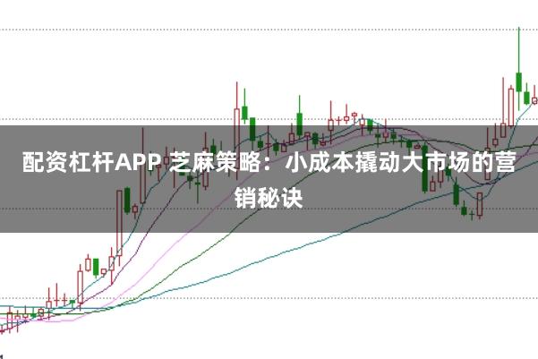 配资杠杆APP 芝麻策略：小成本撬动大市场的营销秘诀